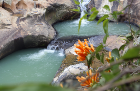 ׯ����Ϸ��(�й���)�ٷ���վ